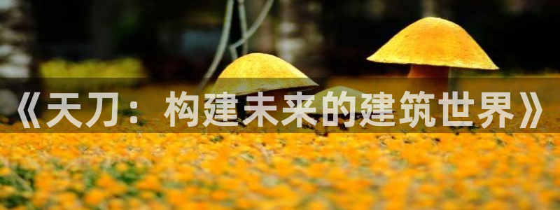 富联娱乐app：《天刀：构建未来的建筑世界》