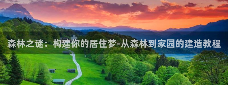 富联娱乐app官方下载：森林之谜：构建你的居住梦-从森林到家园的建造教程