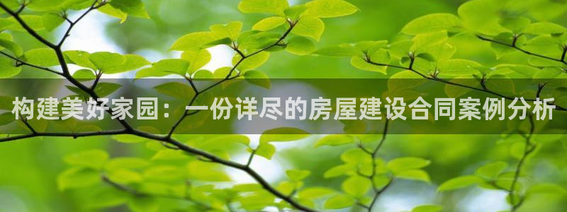 富联娱乐总代理怎么样：构建美好家园：一份详尽的房屋建设合同案例分析
