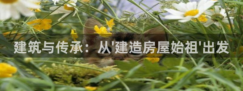 富联娱乐优七九九47：建筑与传承：从\'建造房屋始祖\'出发