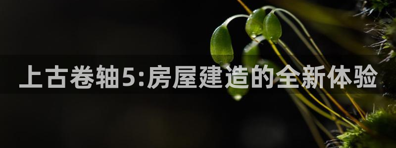 富联2娱乐贴吧最新消息：上古卷轴5:房屋建造的全新体验