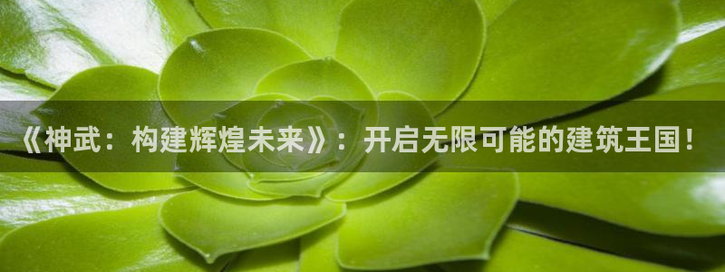 富联娱乐注册地址上海：《神武：构建辉煌未来》：开启无限可能的建筑王国！