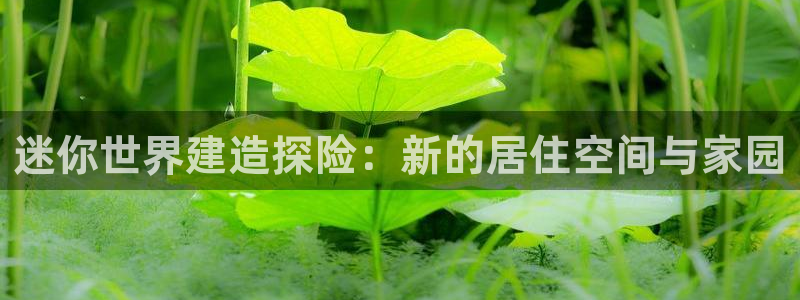 富联娱乐万67五壹叁八：迷你世界建造探险：新的居住空间与家园