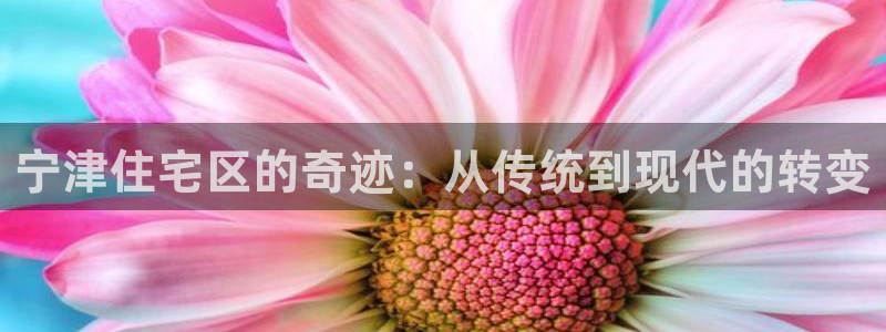 富联娱乐联37997筘：宁津住宅区的奇迹：从传统到现代的转变