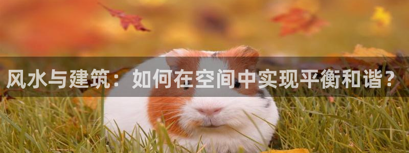 富联娱乐贴吧最新消息网：风水与建筑：如何在空间中实现平衡和谐？