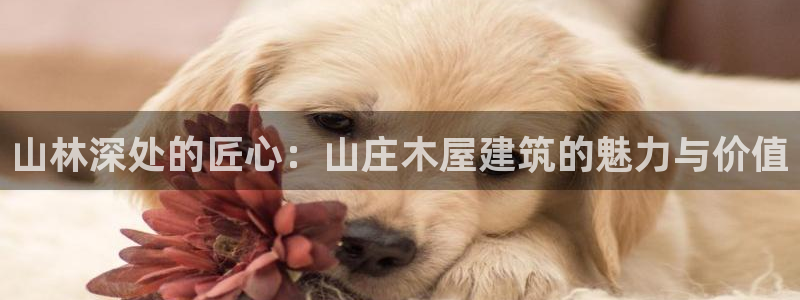 富联2娱乐元哥微博：山林深处的匠心：山庄木屋建筑的魅力与价值