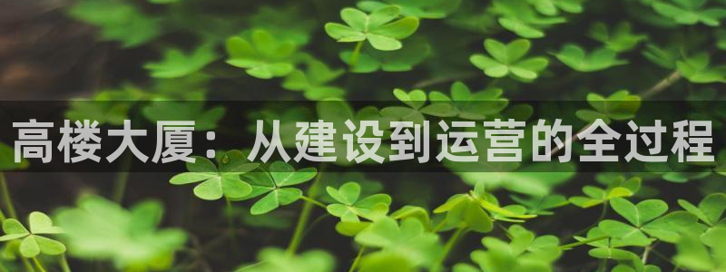富联娱乐账号注册流程：高楼大厦：从建设到运营的全过程