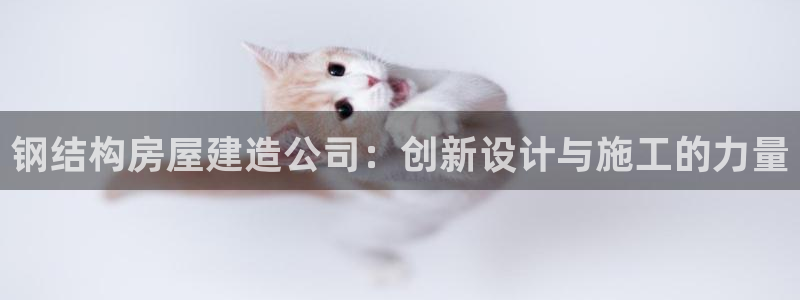 富联娱乐招商括判官333OO：钢结构房屋建造公司：创新设计与施工的力量
