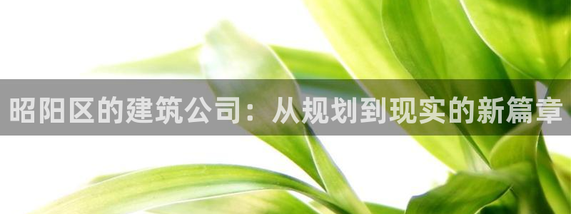 富联娱乐首页在哪看视频：昭阳区的建筑公司：从规划到现实的新篇章