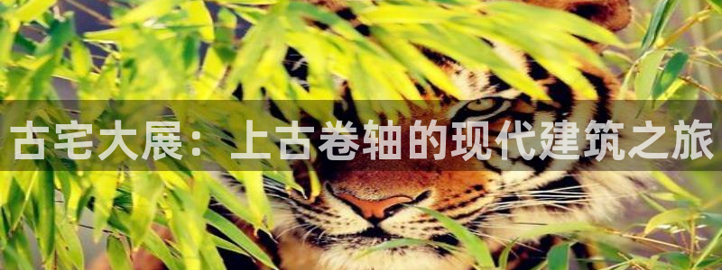 富联娱乐平台是什么：古宅大展：上古卷轴的现代建筑之旅