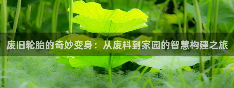 富联娱乐平台是什么软件：废旧轮胎的奇妙变身：从废料到家园的智慧构建之旅