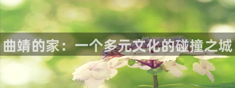 富联娱乐招商分听判官333OO：曲靖的家：一个多元文化的碰撞之城