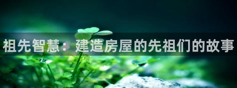 富联娱乐主管续判官333OO：祖先智慧：建造房屋的先祖们的故事