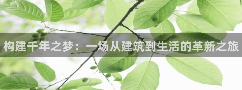 富联娱乐轻7O777：构建千年之梦：一场从建筑到生活的革新之旅