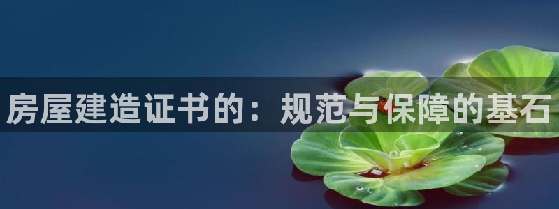 富联娱乐app下载安装：房屋建造证书的：规范与保障的基石
