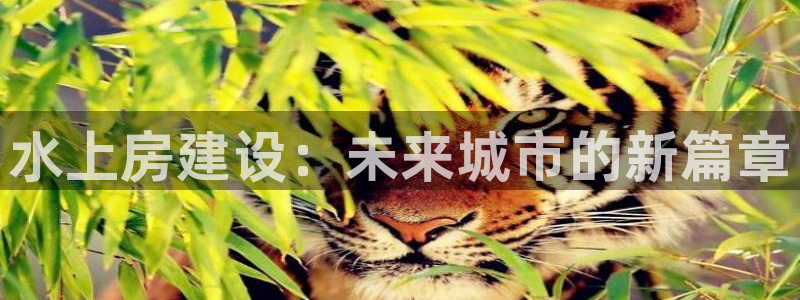 富联娱乐开户费用多少钱：水上房建设：未来城市的新篇章