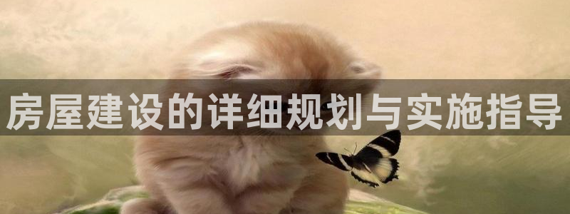 富联娱乐主管料判官333OO：房屋建设的详细规划与实施指导