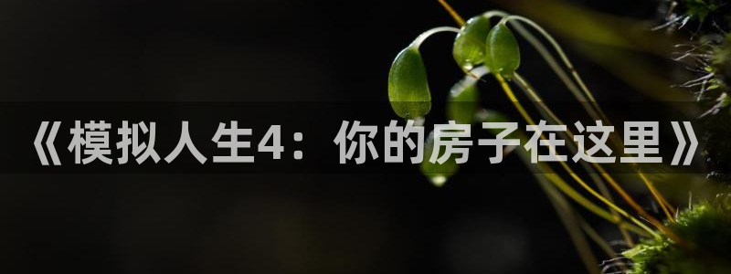 富联娱乐平台登陆：《模拟人生4：你的房子在这里》