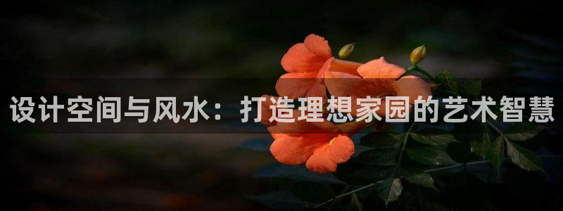 富联娱乐招商德判官333OO：设计空间与风水：打造理想家园的艺术智慧