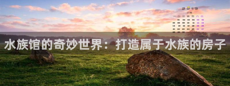 富联娱乐代理是谁：水族馆的奇妙世界：打造属于水族的房子