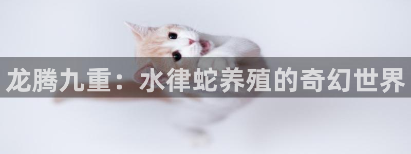 富联娱乐app官方下载最新版：龙腾九重：水律蛇养殖的奇幻世界