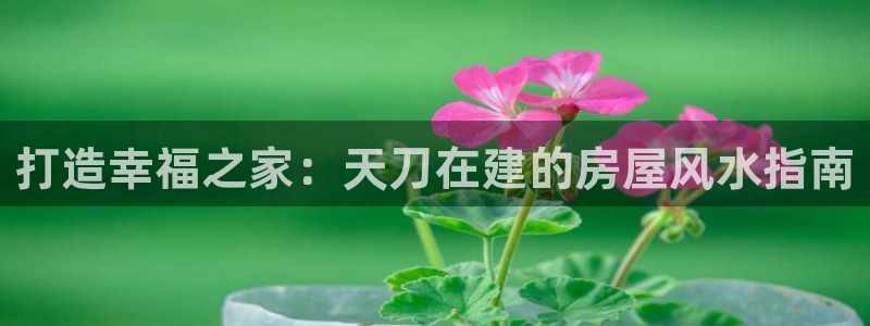 富联娱乐主管道去判官333OO：打造幸福之家：天刀在建的房屋风水指南