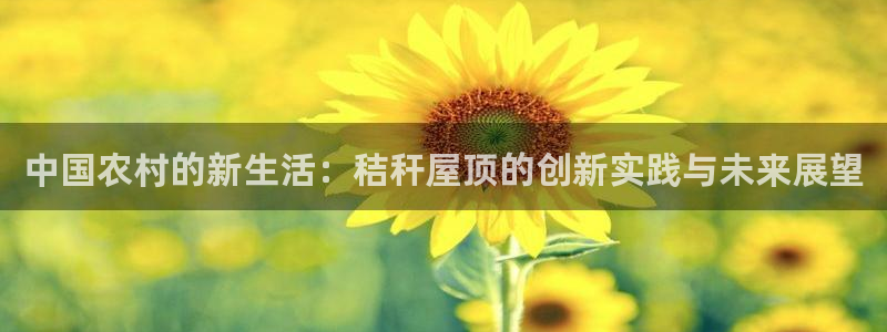 富联娱乐招商右判官333OO：中国农村的新生活：秸秆屋顶的创新实践与未来展望