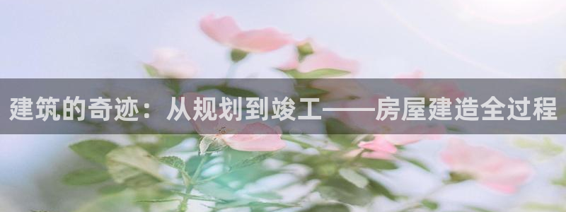 富联娱乐代理：建筑的奇迹：从规划到竣工——房屋建造全过程
