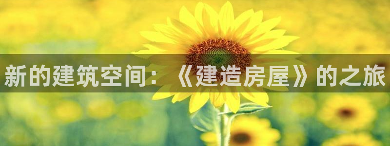 富联2娱乐贴吧最新消息：新的建筑空间：《建造房屋》的之旅