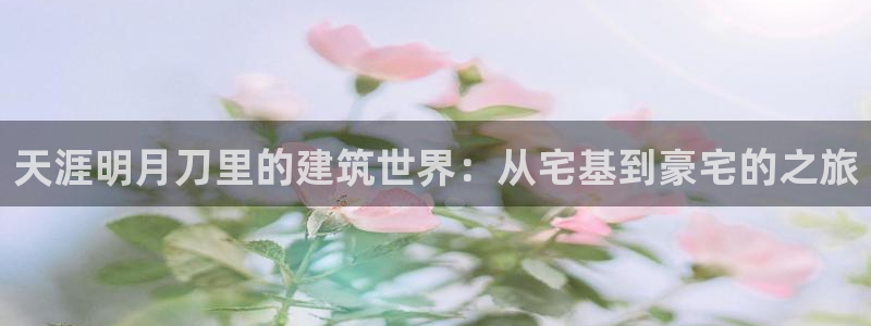 富联娱乐平台怎么样：天涯明月刀里的建筑世界：从宅基到豪宅的之旅