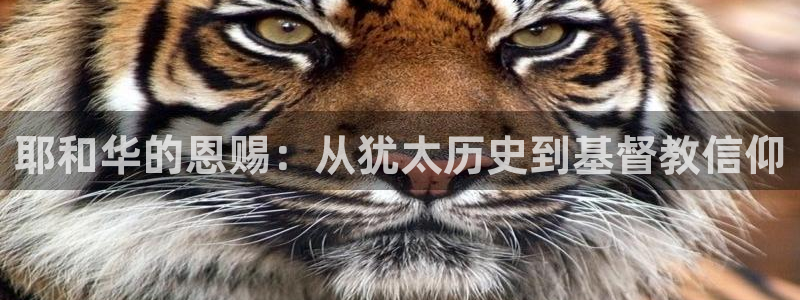 富联娱乐app更新：耶和华的恩赐：从犹太历史到基督教信仰