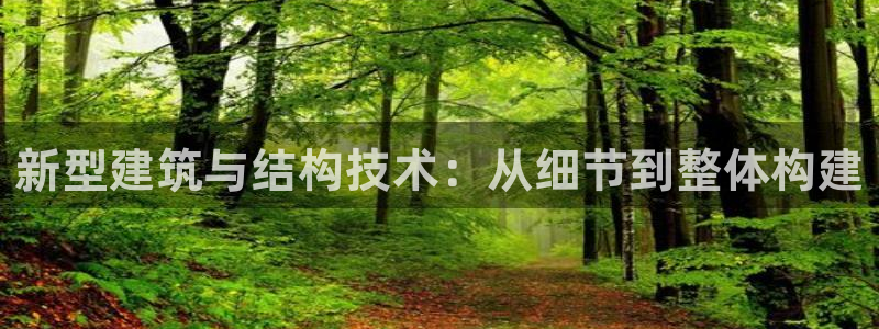 富联娱乐注册目判官333OO：新型建筑与结构技术：从细节到整体构建