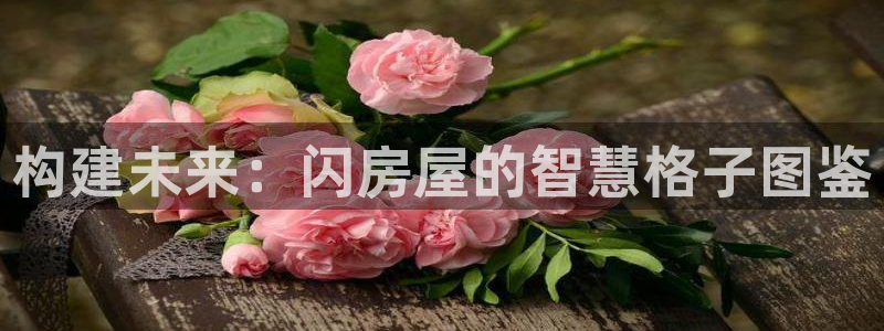 联富花园团购休闲娱乐：构建未来：闪房屋的智慧格子图鉴