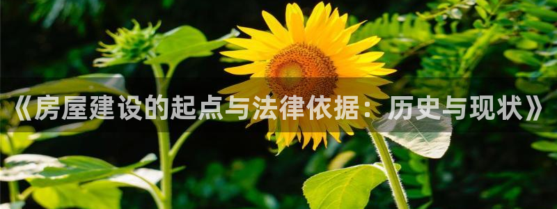 富联娱乐曼谷快三怎么样：《房屋建设的起点与法律依据：历史与现状》