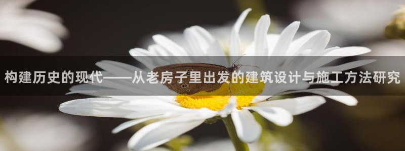富联娱乐主管是谁呀老板：构建历史的现代——从老房子里出发的建筑设计与施工方法研究